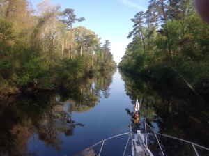 If you love nature, history, or peace and quiet, you will love the Dismal Swamp Canal.  