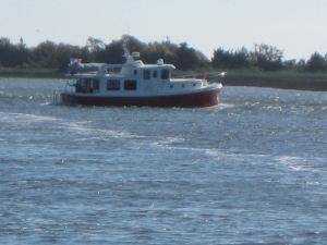 Little red tug strayed from the channel